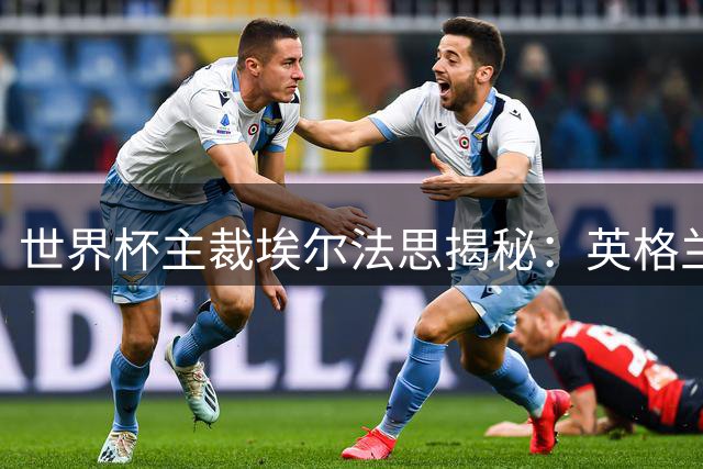 世界杯主裁埃尔法思揭秘：英格兰阿根廷大战背后的裁判心声