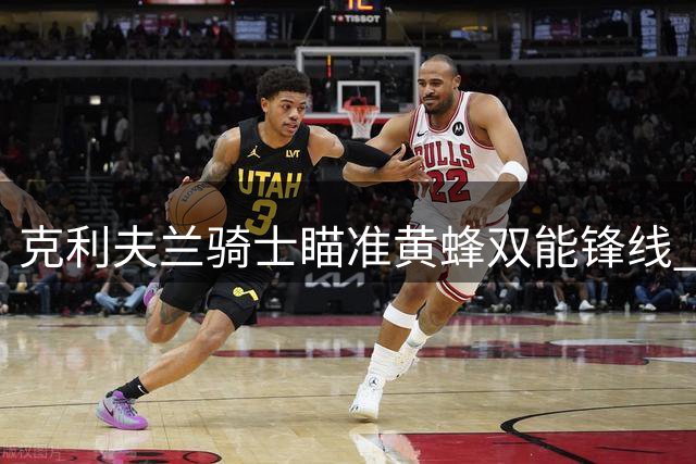 克利夫兰骑士瞄准黄蜂双能锋线 交易市场暗流涌动