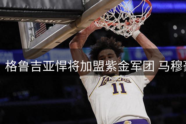 格鲁吉亚悍将加盟紫金军团 马穆豪言要为湖人带回奥布莱恩杯