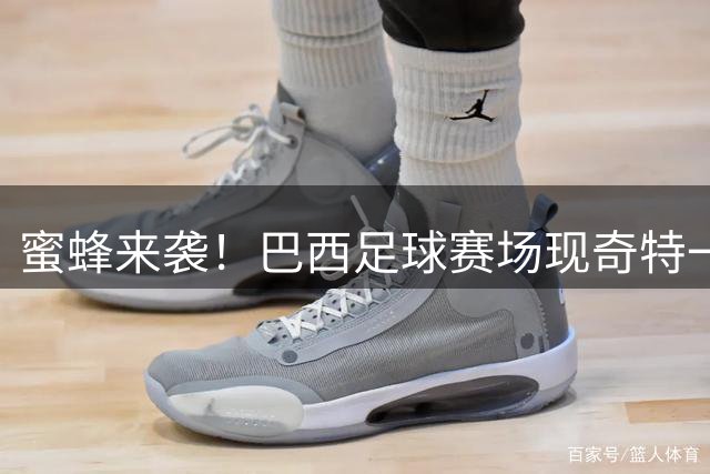 蜜蜂来袭！巴西足球赛场现奇特一幕：全员卧地躲避蜂群
