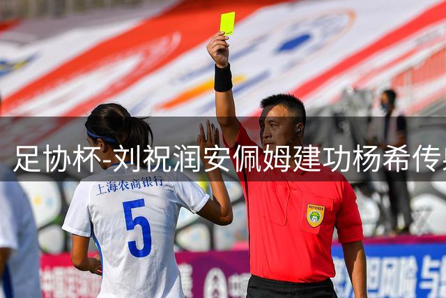 足协杯-刘祝润安佩姆建功杨希传射 海港客场3-0泰山进四强