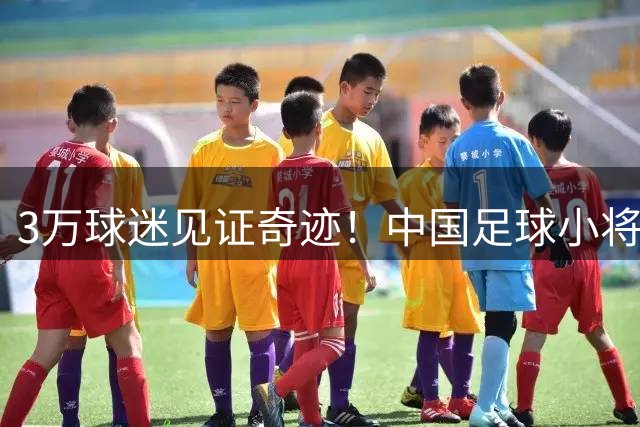 3万球迷见证奇迹！中国足球小将季军赛背后的勇气与希望
